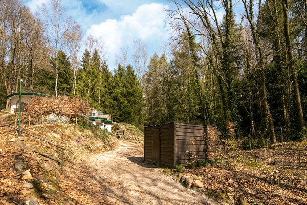 Foto van Vakantiehuis in Lanklaar bij Boswandelingen - Vakantiehuis in Lanklaar - AreaSummer5KM