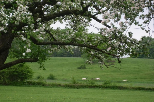 Foto van Ruime plek in Hamoir - Vakantiehuis in Hamoir - AreaSummer20KM