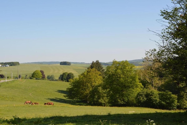 Foto van Elegant verblijf, Comblain-Fairon - Vakantiehuis in Comblain-Fairon - AreaSummer20KM
