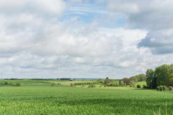 Foto van Vreedzame Fontenelle-boerderij - Vakantiehuis in Fontenelle - AreaSummer1KM