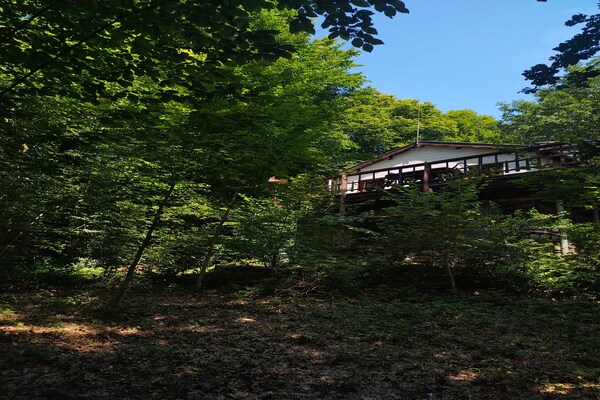 Foto van Chalet Vogelzang in de Ardennen - Vakantiehuis in Oignies-en-Thierache - Untagged