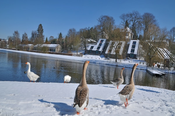 Foto van Appartement in Vielsalm met privé sauna - Vakantiehuis in Vielsalm - ExteriorWinter