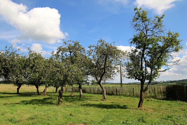 Foto van Ruime villa op het platteland - Vakantiehuis in Harfontaine - GardenSummer