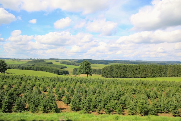 Foto van Ruime villa op het platteland - Vakantiehuis in Harfontaine - ViewSummer