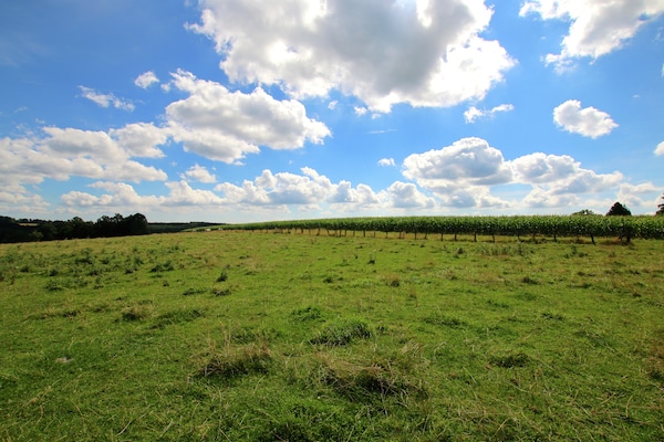 Foto van Ruime villa op het platteland - Vakantiehuis in Harfontaine - AreaSummer1KM