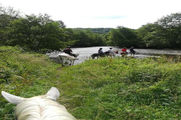 Foto van Chalet in Wéris bij Durbuy-bossen - Vakantiehuis in Wéris - AreaSummer20KM