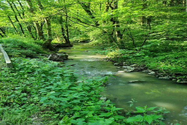 Foto van Chalet in Wéris bij Durbuy-bossen - Vakantiehuis in Wéris - AreaSummer20KM