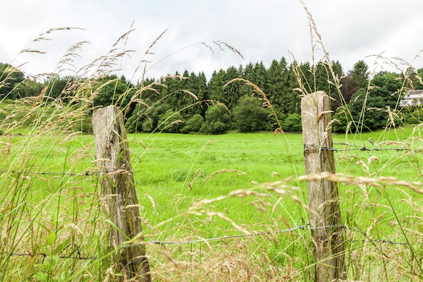 Foto van Natuurontsnapping in Bohon - Vakantiehuis in Bohon-Durbuy - AreaSummer5KM