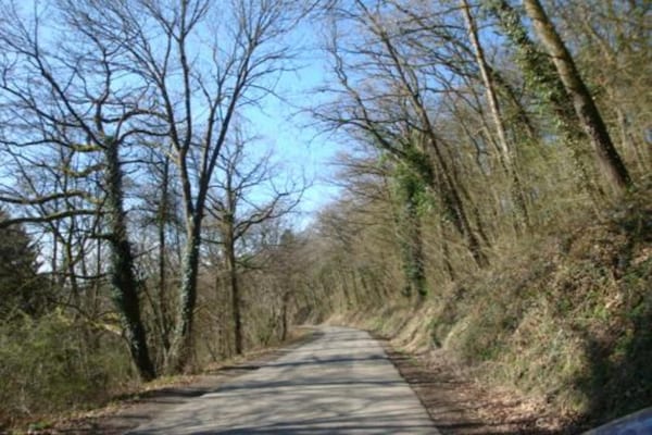 Foto van Natuurontsnapping in Bohon - Vakantiehuis in Bohon-Durbuy - AreaSummer5KM