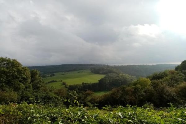 Foto van Natuurontsnapping in Bohon - Vakantiehuis in Bohon-Durbuy - AreaSummer5KM