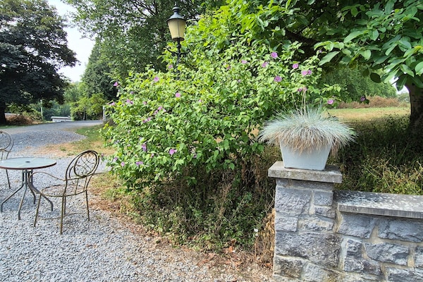 Foto van Vreedzaam Bohon Appartement - Vakantiehuis in Bohon-Durbuy - AreaSummer5KM