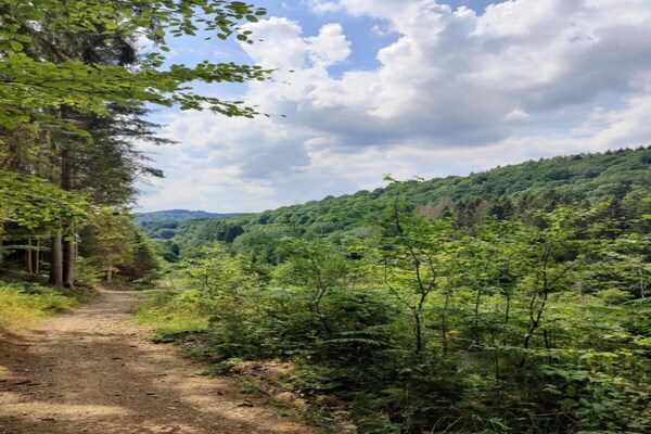Foto van Gezinsvriendelijke tent in Dochamps - Vakantiehuis in Dochamps - AreaSummer5KM