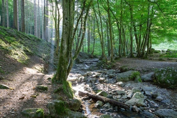 Foto van Gezellige Glampingtent in de Ardennen - Vakantiehuis in Dochamps - AreaSummer5KM