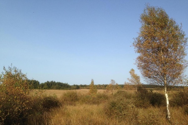 Foto van Gezellige Glampingtent in de Ardennen - Vakantiehuis in Dochamps - AreaSummer5KM