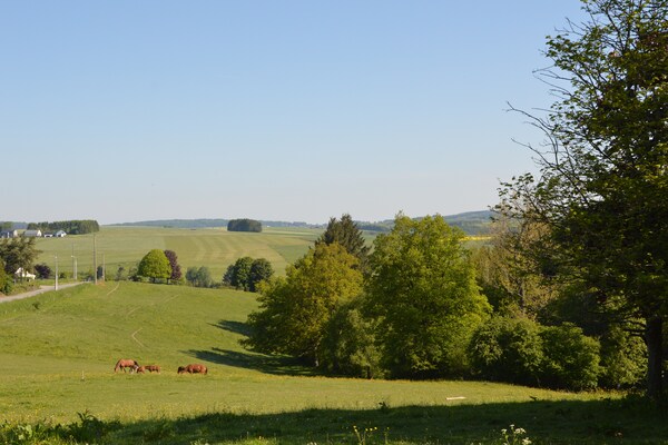 Foto van Champlon Villa nabij Forest - Vakantiehuis in Champlon - AreaSummer1KM