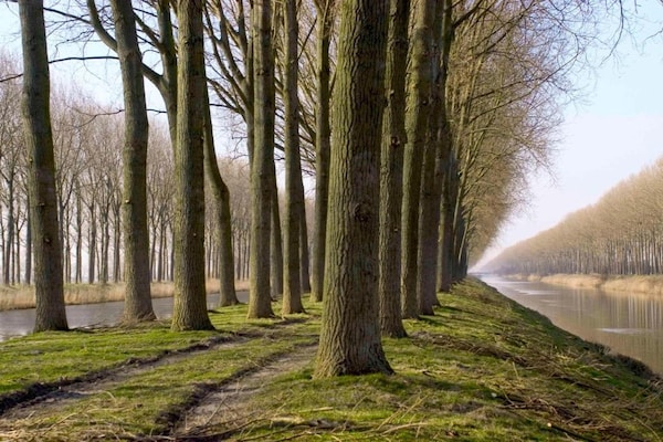 Foto van Charmante retraite, Veldegem - Vakantiehuis in Zedelgem - Veldegem - AreaSummer20KM
