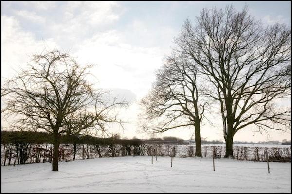 Foto van Charmante retraite, Veldegem - Vakantiehuis in Zedelgem - Veldegem - AreaWinter20KM