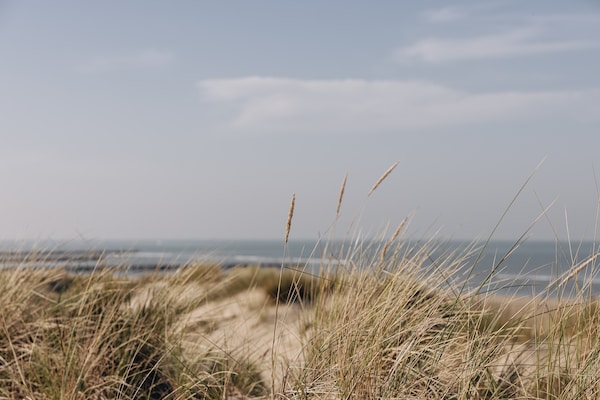 Foto van Ruime moderne villa • Vlakbij het strand - Vakantiehuis in Bredene - AreaSummer5KM