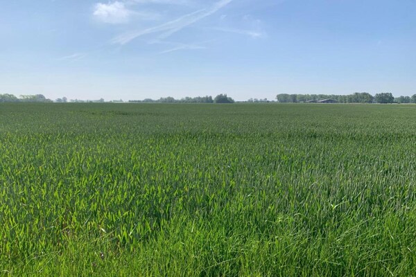 Foto van Studio in Nieuwpoort met Zeezicht - Vakantiehuis in Nieuwpoort - AreaSummer20KM