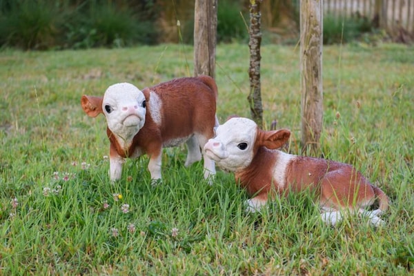 Foto van Nieuwpoort Appartement Familieverblijf - Vakantiehuis in Nieuwpoort - AreaSummer20KM