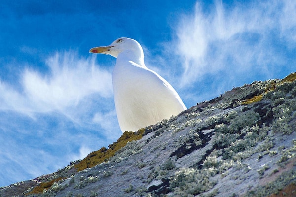 Foto van Huis in Hillion bij GR 34 Kustpad - Vakantiehuis in Hillion - AreaSummer5KM