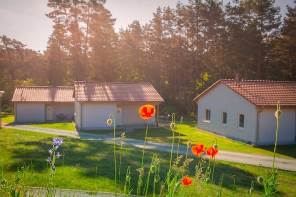 Foto van Gezellige bungalow in Storkow am See - Vakantiehuis in Storkow - ExteriorSummer