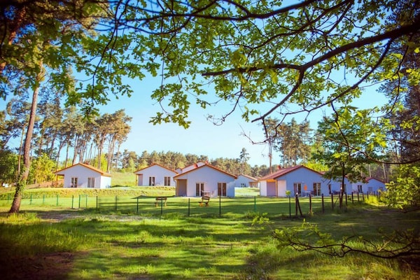 Foto van Gezellige bungalow in Storkow am See - Vakantiehuis in Storkow - ExteriorSummer