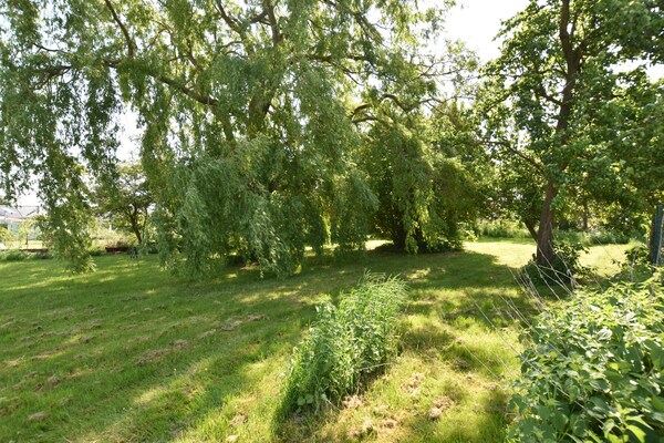 Foto van Ferienhaus vor den Toren der Insel Poel - Vakantiehuis in Hornstorf - GardenSummer