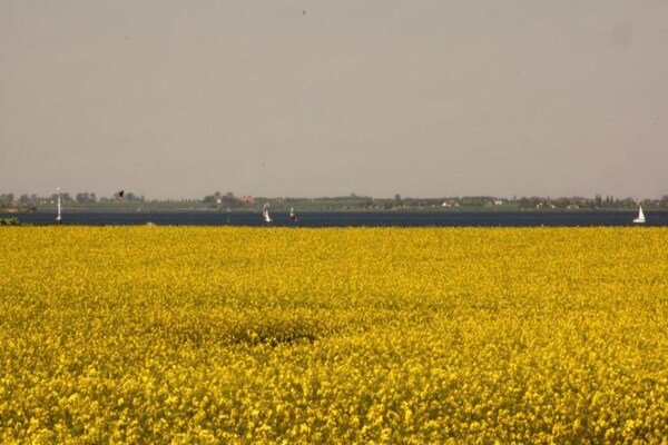 Foto van Gezellig appartement in Zierow met buitenhaard - Vakantiehuis in Zierow - AreaSummer20KM