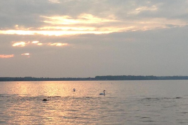 Foto van Gezellig appartement in Zierow met buitenhaard - Vakantiehuis in Zierow - AreaSummer20KM