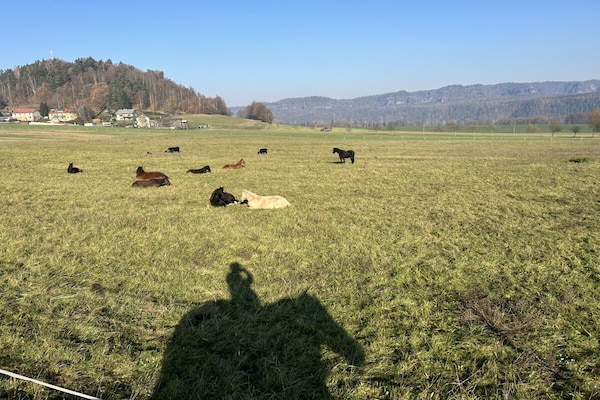Foto van Boerderij - Schoena - Vakantiehuis in Schöna - Untagged