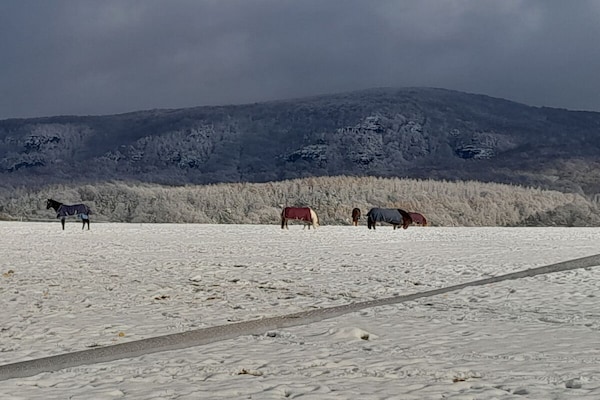 Foto van Boerderij - Schoena - Vakantiehuis in Schöna - Untagged