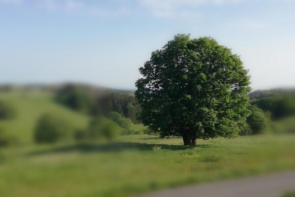 Foto van Gezinscomfort in Güntersberge - Vakantiehuis in Harzgerode Ot Güntersberge - AreaSummer20KM