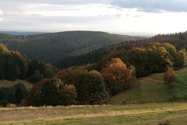 Foto van Gezinscomfort in Güntersberge - Vakantiehuis in Harzgerode Ot Güntersberge - AreaSummer20KM