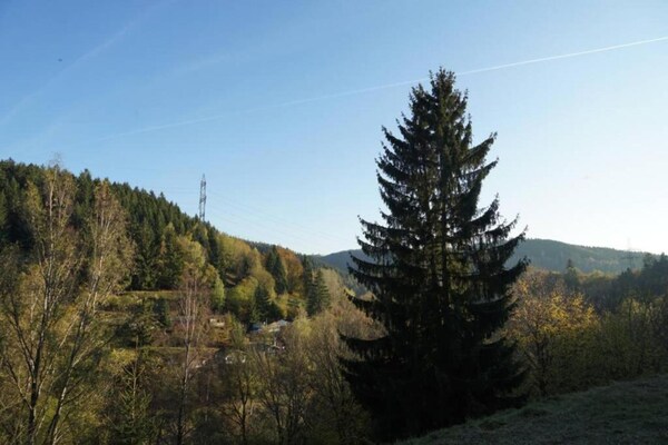 Foto van Gezinscomfort in Güntersberge - Vakantiehuis in Harzgerode Ot Güntersberge - AreaSummer20KM