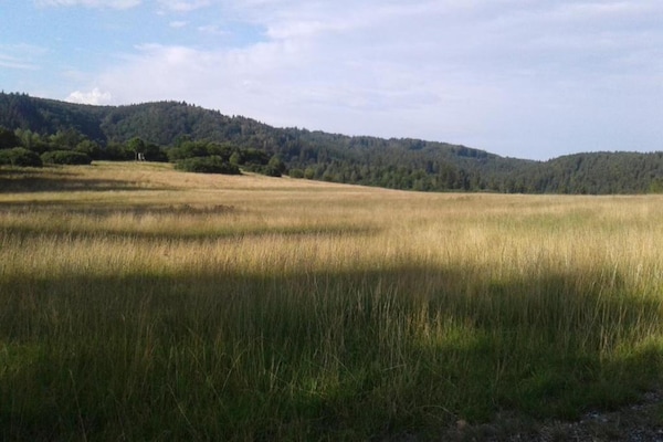 Foto van Rustig tuinappartement - Vakantiehuis in Thale - Altenbrak - AreaSummer5KM