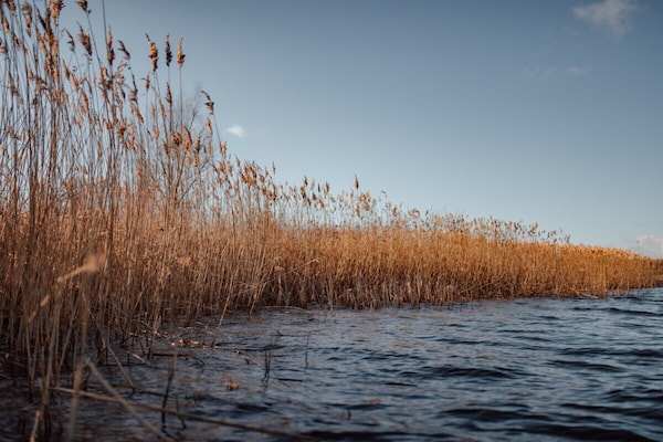 Foto van 1-slaapkamer woonboot - Vakantiehuis in Bitterfeld-Wolfen - Untagged