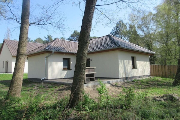 Foto van B4 rechtstreeks naar het Netzenmeer. - Vakantiehuis in Kloster Lehnin OT Trechwitz Siedling - Untagged