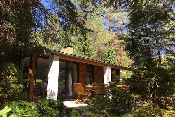 Foto van Bungalow in het bos - Vakantiehuis in Borkwalde - Untagged