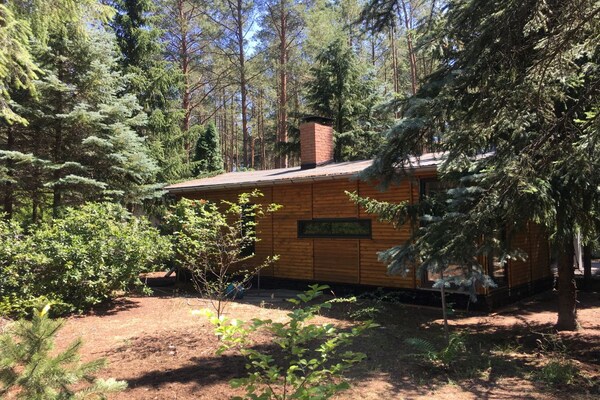 Foto van Bungalow in het bos - Vakantiehuis in Borkwalde - Untagged