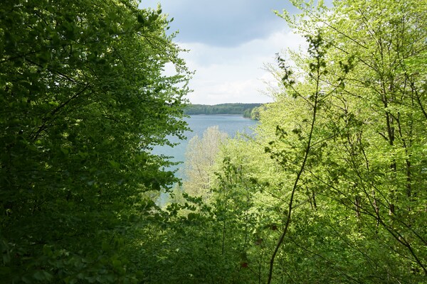 Foto van Sunday Resort Marina Appartement met 1 slaapkamer - Vakantiehuis in Rheinsberg - AreaSummer20KM