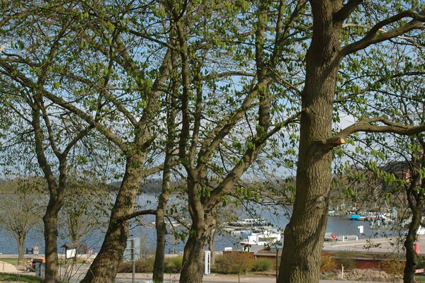 Foto van bij de watertoren van Röbel/Müritz - Vakantiehuis in Röbel - Untagged