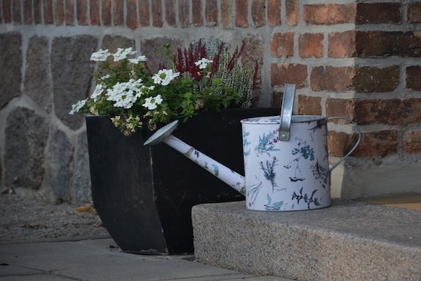 Foto van Vakantiehuis in  - Vakantiehuis in  - Untagged