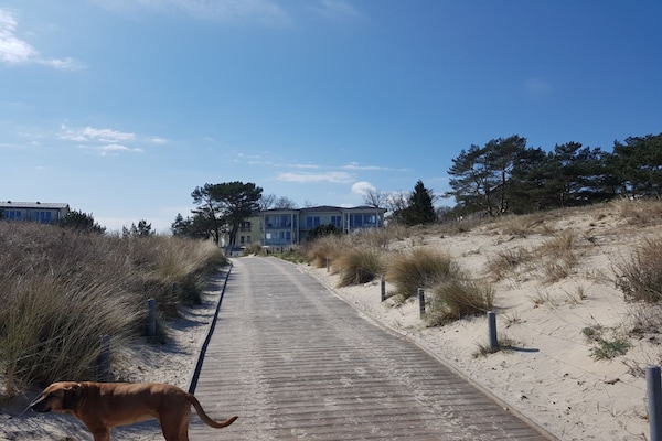 Foto van Beach Oasis Appartement 14 - Vakantiehuis in Ostseebad Heringsdorf - Untagged