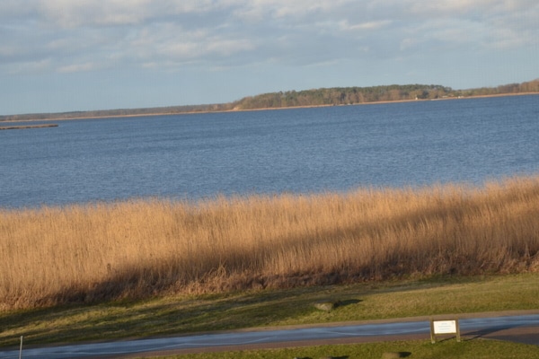 Foto van Balmer See met direct uitzicht op het meer - Vakantiehuis in Balm\/Usedom - Untagged