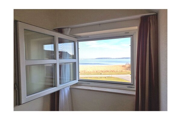 Foto van Balmer See met direct uitzicht op het meer - Vakantiehuis in Balm\/Usedom - Untagged