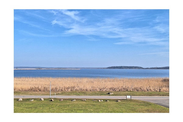 Foto van Balmer See met direct uitzicht op het meer - Vakantiehuis in Balm\/Usedom - Untagged