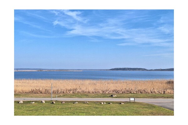 Foto van Balmer See met direct uitzicht op het meer - Vakantiehuis in Balm\/Usedom - Untagged