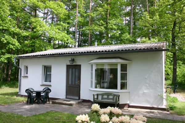 Foto van Bungalow in het vakantiepark Damerow op Usedom - Vakantiehuis in Koserow OT Damerow - ExteriorSummer