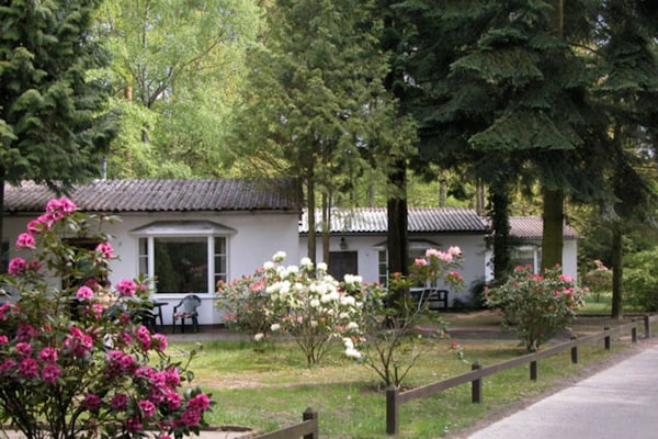 Foto van Bungalow in het vakantiepark Damerow op Usedom - Vakantiehuis in Koserow OT Damerow - ExteriorSummer